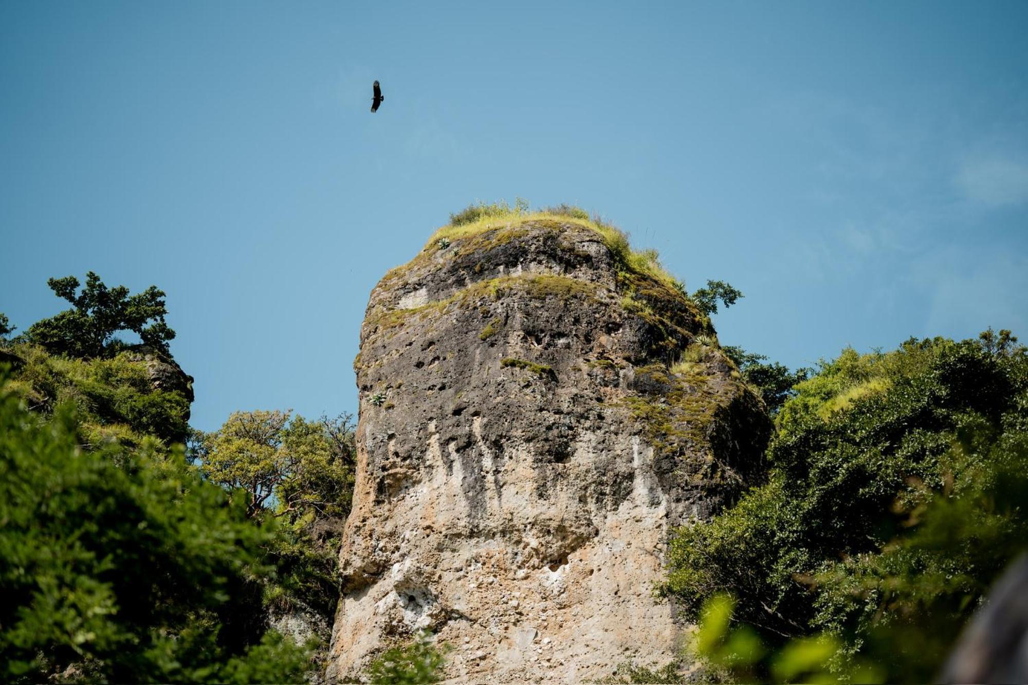Fuego Atitlan Eco-Hotel San Marcos La Laguna Exteriör bild